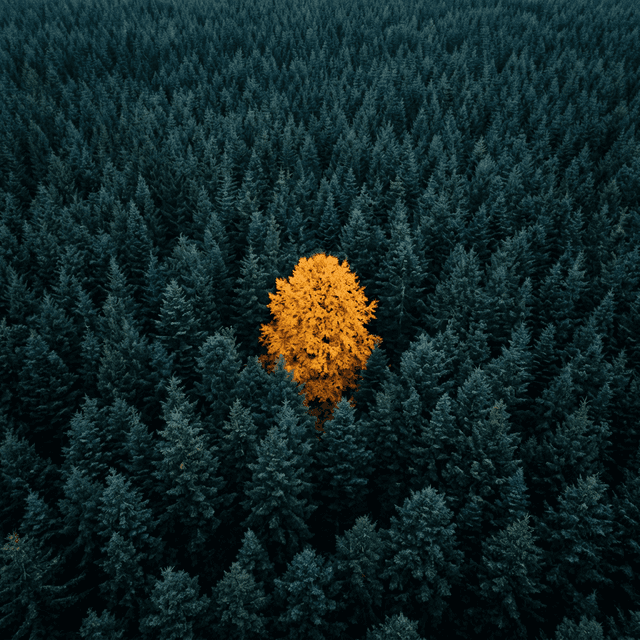 Personality Blueprint